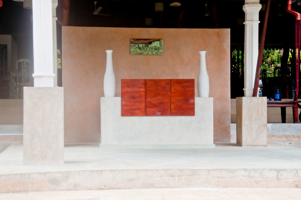 Amaranta Classic Retreat Bambaragaleyaya エクステリア 写真